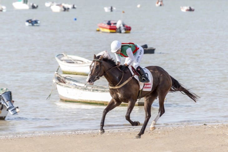 Betting Implications 