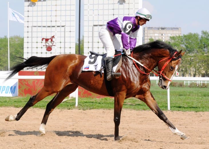Betting on the Speed of Hooves