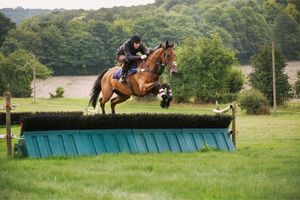 2025 Foxhunters’ Open Hunters’ Chase: Ten-Year Trends and Betting Tips