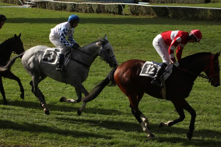 Genetic Factors Affecting Speed and Stamina