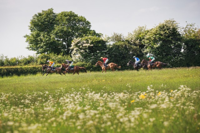 2025 Queen Elizabeth II Jubilee Stakes: Ten-Year Trends and Betting Tips