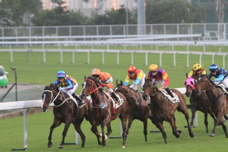 Handicapping Illustration At A Horse Race