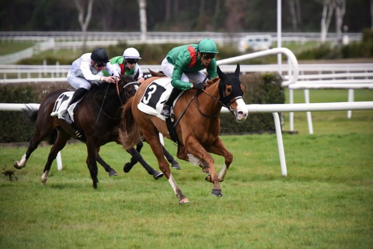 Horse Racing and Paddock