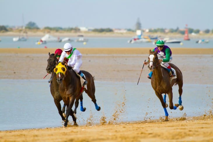 Iconic Hurdles and Courses