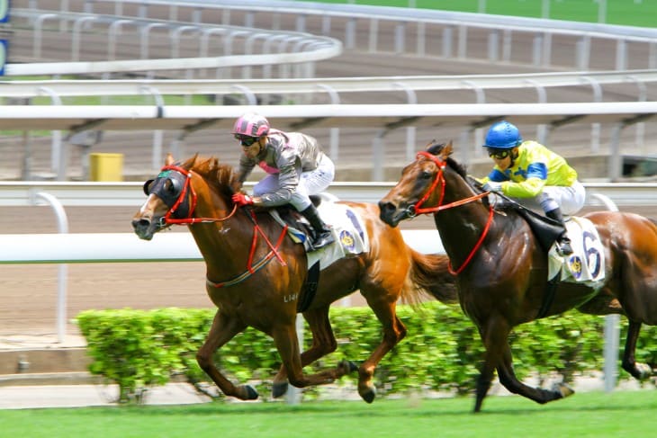 Illustration of horses with printed data