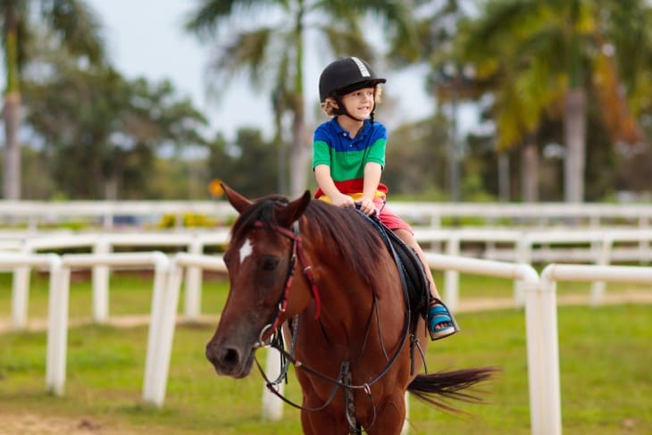 Introducing Horse Racing to Children