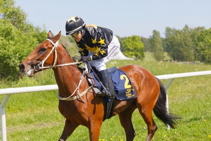 King George VI and betting