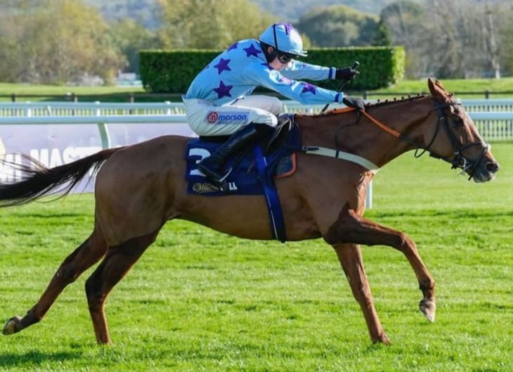 Paddy Power Gold Cup 21st Century Trends Paddock Punter