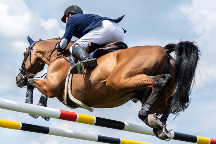 Seven for the Horse Tracker