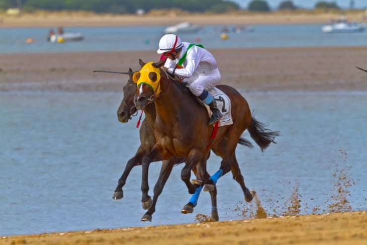Significant Races and Records