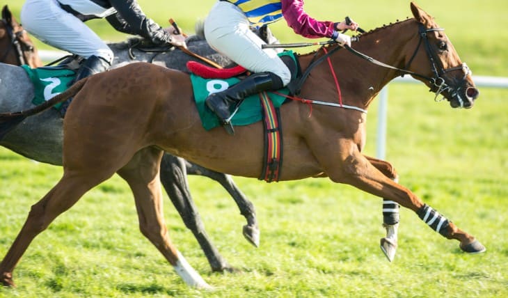 The Art of Becoming a Jockey: Training and Skills