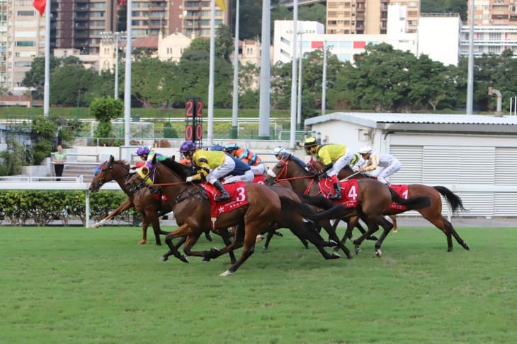 The Basics of Swinger Betting in Horse Racing