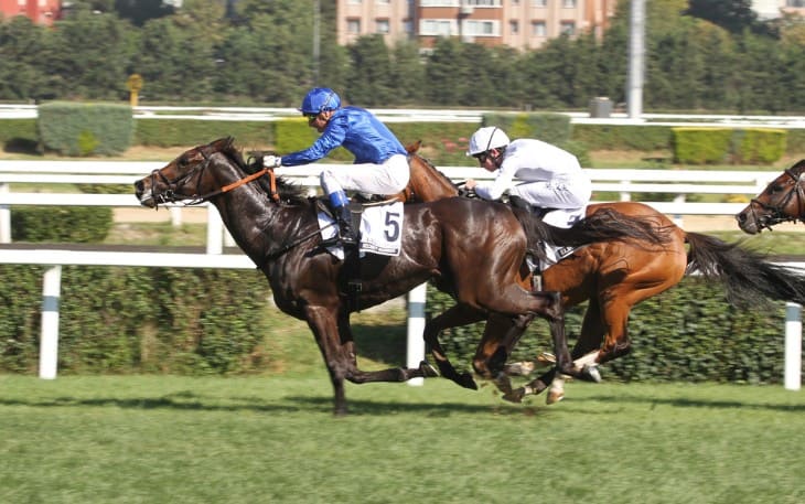 The Economic Impact of Horse Racing in Ireland