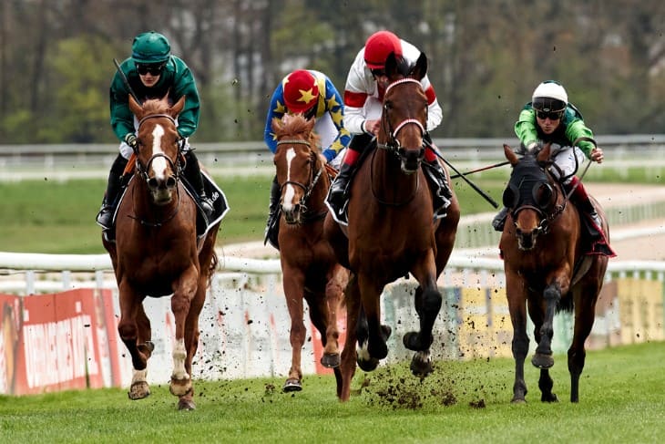 UK horse racing track: The Ascot track