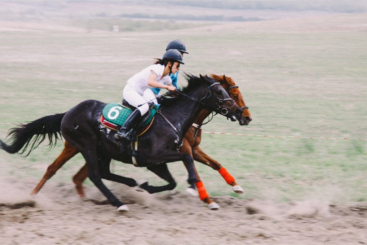 Top Jockey: Paul Townend & Mark Walsh – 4 Wins