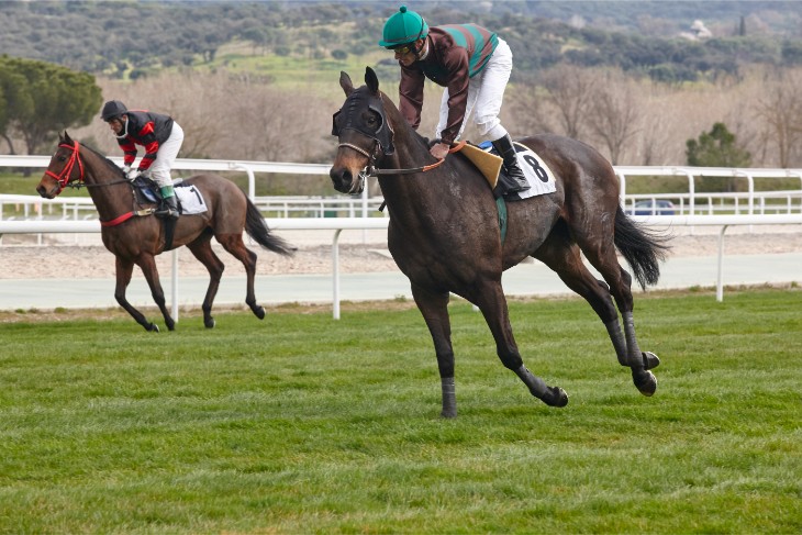 Top Trainer: Willie Mullins – 10 Wins