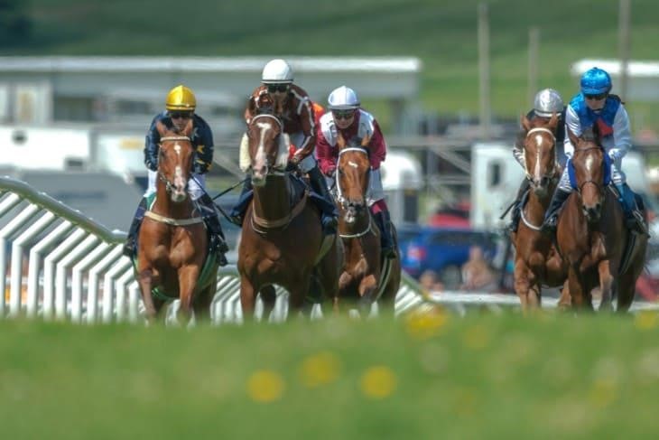 Training Under Willie Mullins